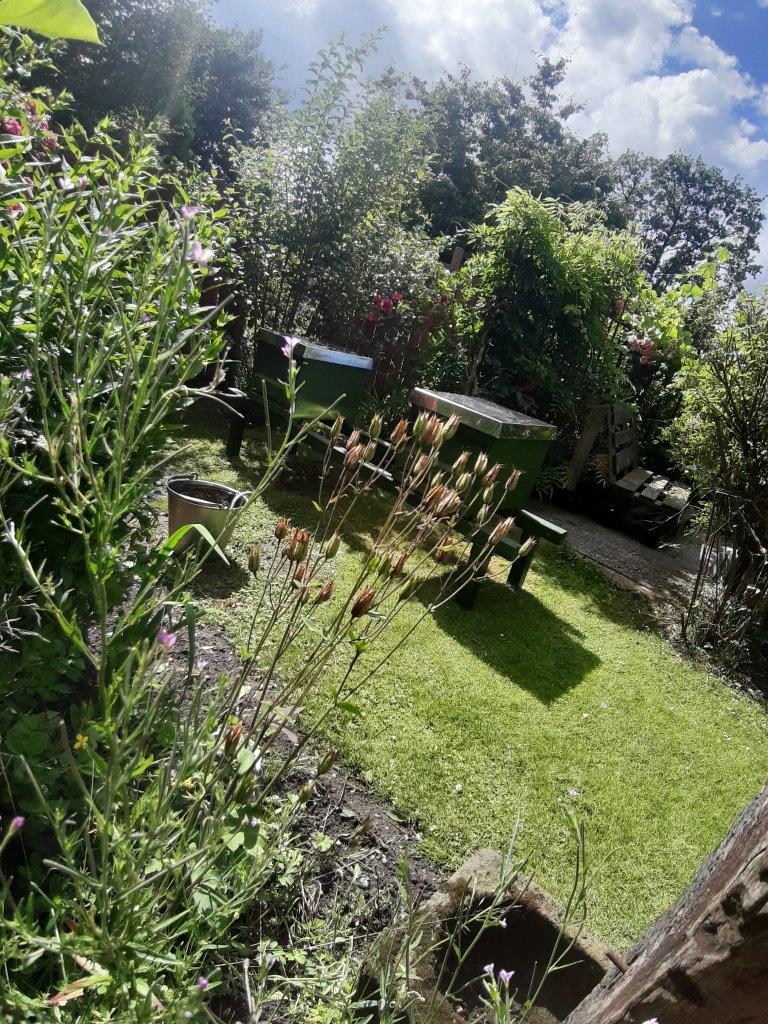 Vorster Honigschmiede Echter Deutscher Honig Bienenhonig DIB Deutscher Imker Bund Liebig Glatzlef Detlef van Bernum Birgit van Bernum Vorst Hexenland Honig Hexenland Imker Hexenland Biene Vorster-Honigschmiede